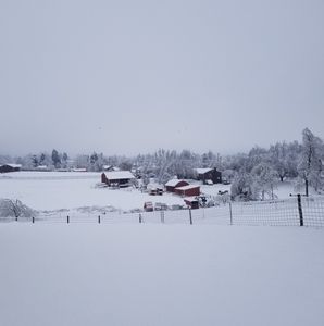 Meet your Posher, Heidi